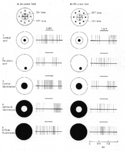 ngraph.gif (19800 bytes)