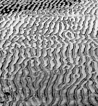 sand.gif (53361 bytes)